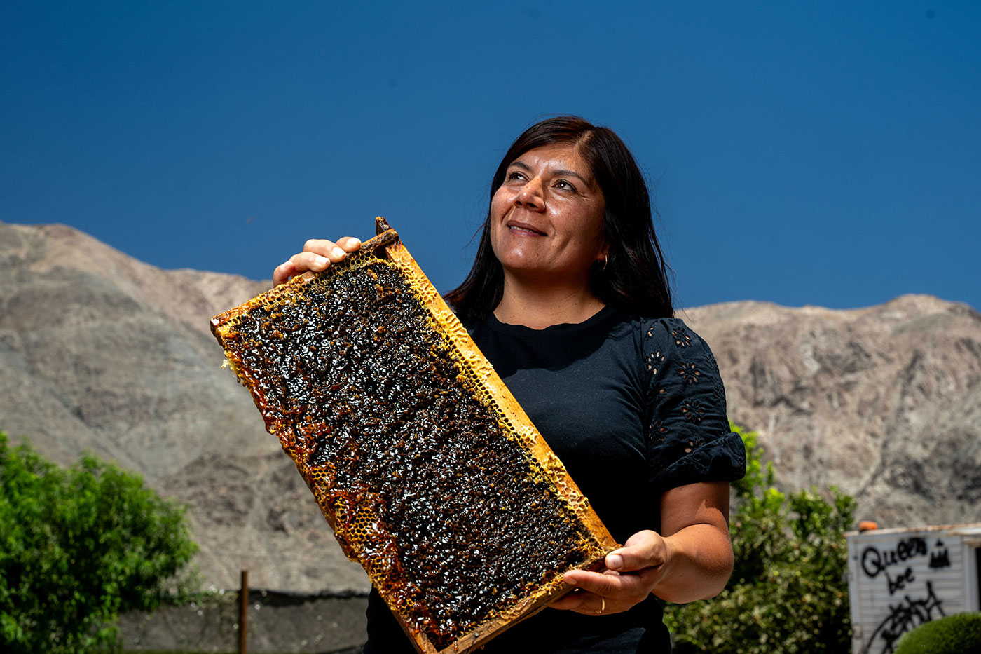 From Hive to Market image